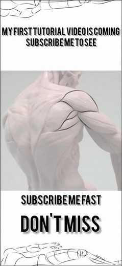 How to Draw Muscles (For Beginners!)#ibispaintx