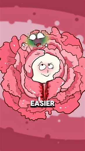 Why Birth Stitches Come Out Years Later 😳🧵..!!#e2dhealth #animation #2dshow #health #fypシ