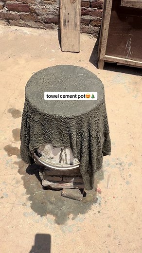 Towel Cement Pot Mini Vlog: Easy DIY Plant Tree