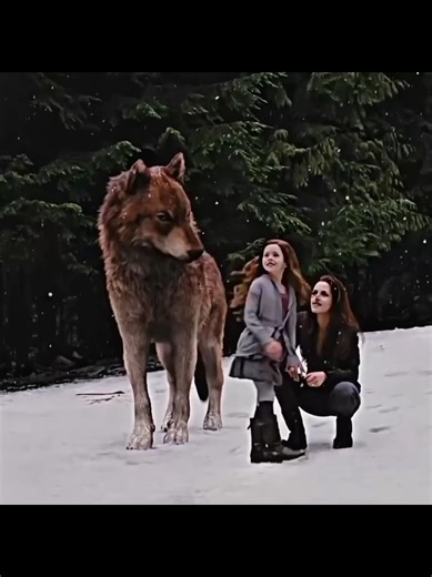 Interstellar Hindi 🔥 | Space Time Travel Movie | Christopher Nolan | Hindi Dubbed 🚀 Interstellar Movie in Hindi 🚀 Interstellar ek legendary science fiction movie hai jo space travel, time dilation aur human emotions par based hai. Ye movie universe ke mysteries ko ek emotional story ke sath explore karti hai. 👥 Cast: • Matthew McConaughey • Anne Hathaway • Jessica Chastain • Michael Caine 🎬 Director: Directed by Christopher Nolan Interstellar movie ek father-daughter emotional bond, black h