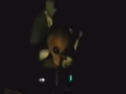 'The Alien Interview Film': Dr. Steven Greer Podcast with special guest Jon Stewart