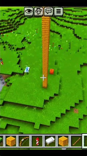 Are You a True Minecraft Pro?