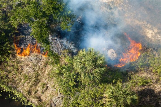 Fire weather watch issued for several Tampa Bay counties