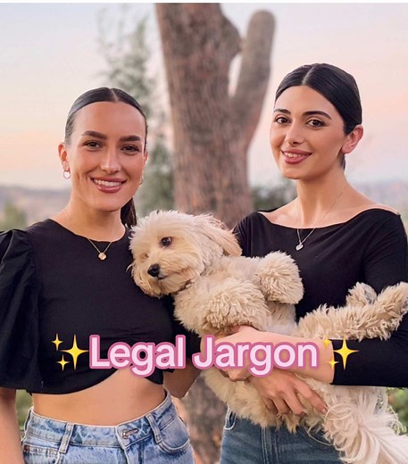 Understanding Legal Jargon: A Fun Exploration