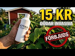 Invasiva Växter Förbjuds 15 Maj — Mormors 15 kr Lösning Ingen Berätta