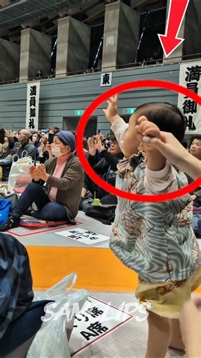 POV: This toddler is fearless at a sumo match