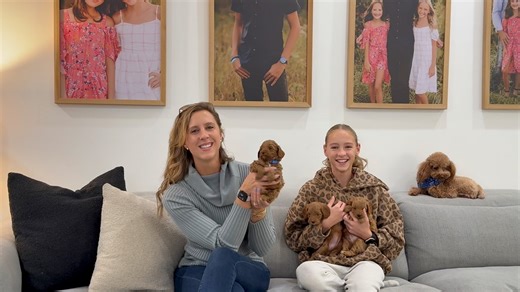 ✨ Toy Goldendoodles (15–18 lbs full grown) ✨ Genetically health-tested parents ✨ OFA-screened hips and elbows ✨ Raised in-home with daily handling, socialization, and early neurological stimulation 🐾 Ready to go home December 23rd This will be our last availability until winter 2026 — don’t miss out! | Family Mini Doodles