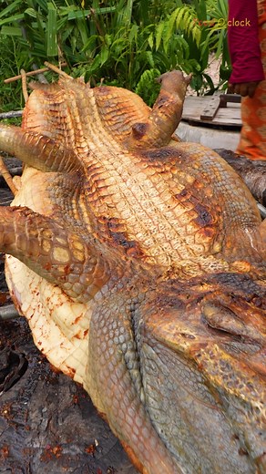 Crocodile Grilled Classic Recipe in Village