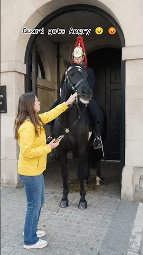 NEVER touch the Royal Guard horse! 🚫🐎 #respect #london