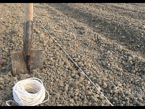 LA PREPARAZIONE DEL TERRENO (VIDEO LEZIONE n.1)