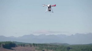 The drones planting trees from the sky