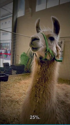 Unveiling the Incredible Secrets: Wahiawa Dam's Energy Efficiency Revolution!