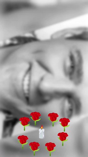 Filmy użytkownika teresaryba169 (@teresaryba169) z muzyką Pro belye rozy - Juriy Shatunov