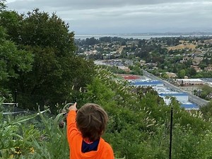 Fighter Jet Flyover Dazzles Bay Area Residents