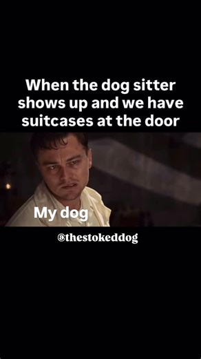 Rummy + Jen | Dog Mom Monetization on Instagram: "What the F is going on here? ✈️ 😡🤣 Does your dog just know….and then give you the side crazy eye when the dog sitter gets there? 👀 really, mom? 🙄🐶 ….and just where the H do you think you’re going? Truth? They just want more time with you. AND to be invited on the trip. 🐾🚗 I have the solution for you so you can have the extra time with your soul dog & add them to every vacation. 😃☀️🏖️ I have been a professional pet sitter for 15+ years an