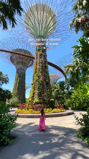 Singapore really feels like stepping into another world 💫🔮🌿🦋
