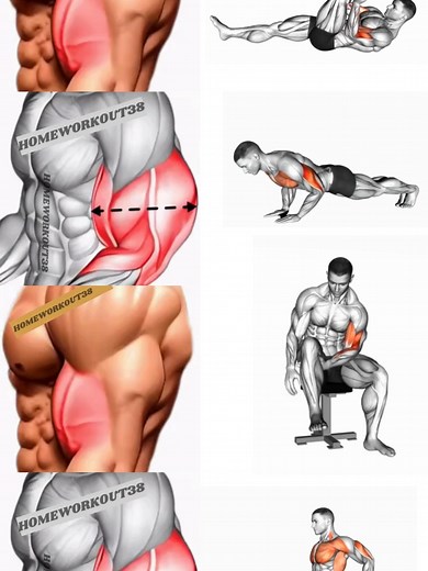 ARMS WORKOUT AT HOME.#armworkout #workout #homeworkout #fitness #sports #2025 #learnontiktok #sportsontiktok @homeworkout @homeworkout @homeworkout