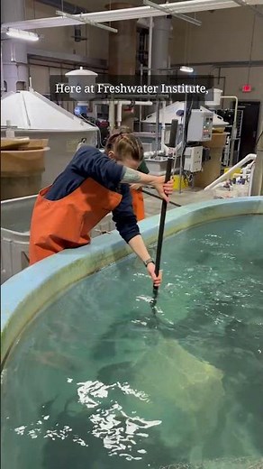 Inside Land-Based Aquaculture: 5 Facts from the Freshwater Institute