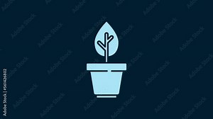 White Plant in pot icon isolated on blue background. Plant growing in a pot. Potted plant sign. 4K Video motion graphic animation