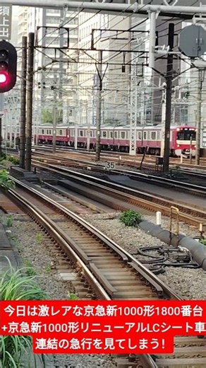 今日は激レアな京急新1000形1800番台+京急新1000形リニューアルLCシート車連結の急行を見てしまう！