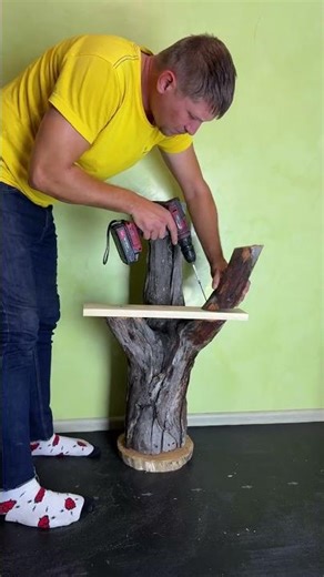 Estante Rama Árbol: Decoración Rústica DIY