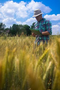 A look into the life of a RUST PATHOLOGIST | Department of Plant Pathology