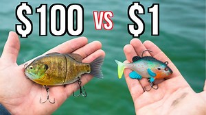 Watch us test $10 vs $100 swimbaits!