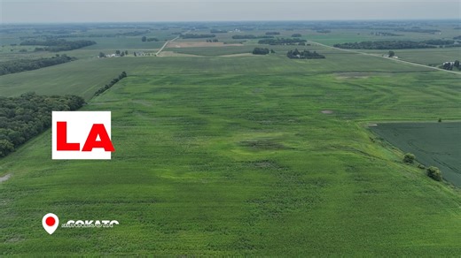 Join us for a LIVE Real Estate Auction! The Wright County, MN Land Auction takes place on September 19th at the Steffes Litchfield Facility. This auction includes 3 tracts of valuable farmland in the sought-out location of Cokato, MN. Don't miss out on an opportunity to invest in quality acres. Click to View Full Auction Details! https://steffesway.com/WrightCoLive #liveauction #realestateauction #landauction #weloveliveauctions #inpersonauction #steffesauctioneers #steffesgroup #steffesauctione