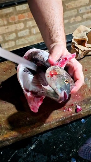 COMO LIMPAR E FAZER POSTAS DE TILÁPIA #fyp #comida #pesca #peixe #fishing