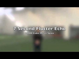 Flutter Echo Demo