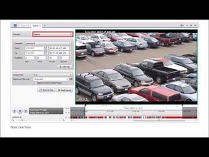 Avigilon Control Center Sharing Video