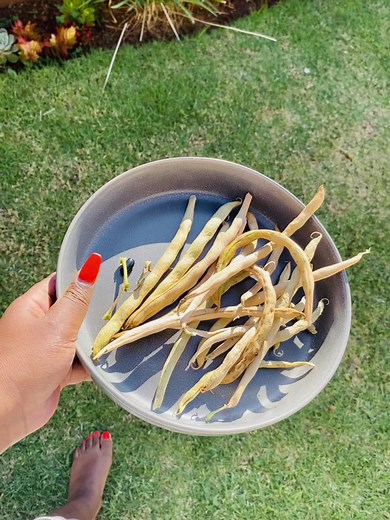 My likkle garden on TikTok