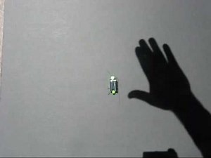 Science Buddies: Frightened Grasshopper