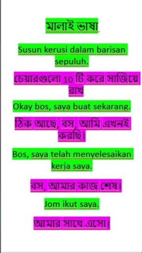 The BEST Malay Course for Beginners EVER