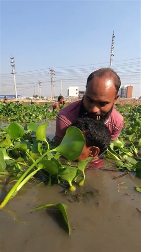 Interesting Rural Fishing #fishing