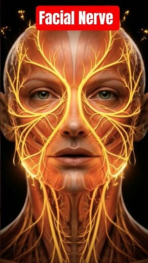 Title: Facial Nerve: Controlling Expression and Sensation Explained#science #shorts #biology