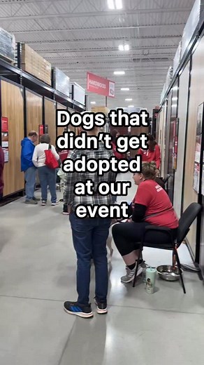 117K views · 22K reactions | They all were so well behaved but it...