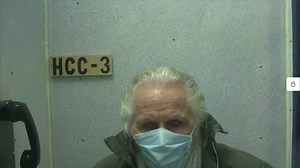 Watch: Former fashion executive Peter Nygard appears in court on trafficking charges
