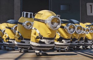 Florida man sentenced to jail and moral therapy for attacking a Minion