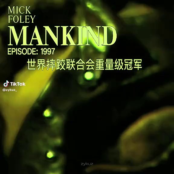 Mr. Socko: The Iconic WWE Character