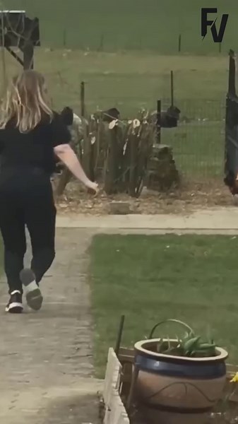 Epic Girl Fails Compilation for Endless Laughter