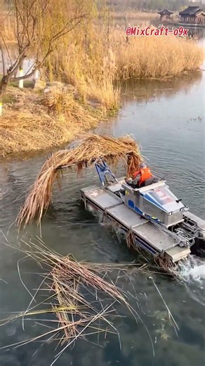Clearing Overgrown Reeds: Restoring the Water Body to Life! #mixcraft