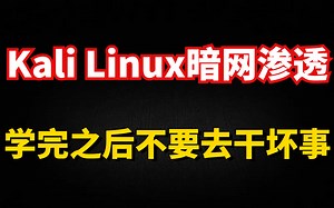 （你敢学我就敢教）答应我 学完不要去干坏事好吗 暗网黑客Kali Linux渗透入门到到入狱理论 实战教程