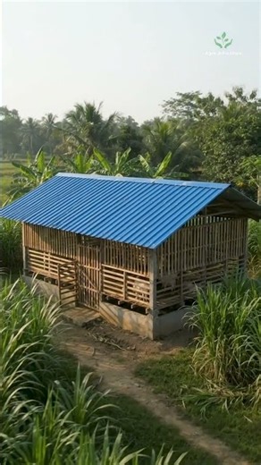 Mini Goat Shed Design for Small Land
