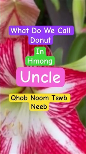 How To pronounce Donut In Hmong