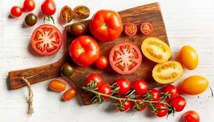 Is Mushroom Compost Good For Tomatoes? - The Scientific Gardener