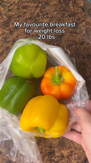 Follow @lowcarb_dani for more weight-loss-friendly meal ideas and tips #weightloss #fatloss #breakfast #highproteinmeals #delicious #yummy #easyrecipes #highprotein #lowcarbrecipes #healthylifestyle #tasty #easyproteinpackedrecipes #viral | Danielle Broussard