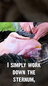 How to field dress a turkey!