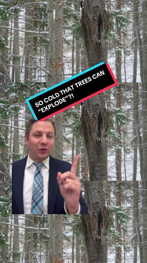 Temperatures are dropping so low in parts of the US that’s some trees could “explode” from water and sap freezing inside of them #winterstorm #coldweather #explodingtrees #foryou #weather