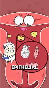 Why Moms Bleed for Weeks After Birth 🤰🩸..!!#e2dhealth #animation #fypシ #2dshow #health